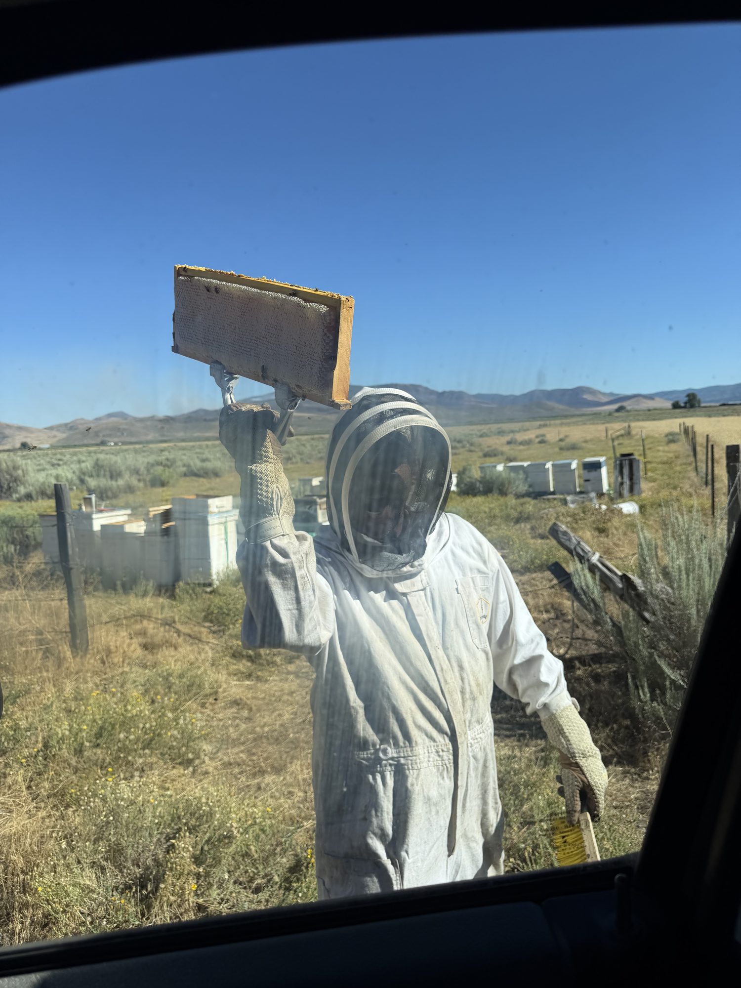 A beekeeper in a white suit and veil holding up a honey frame in an open field